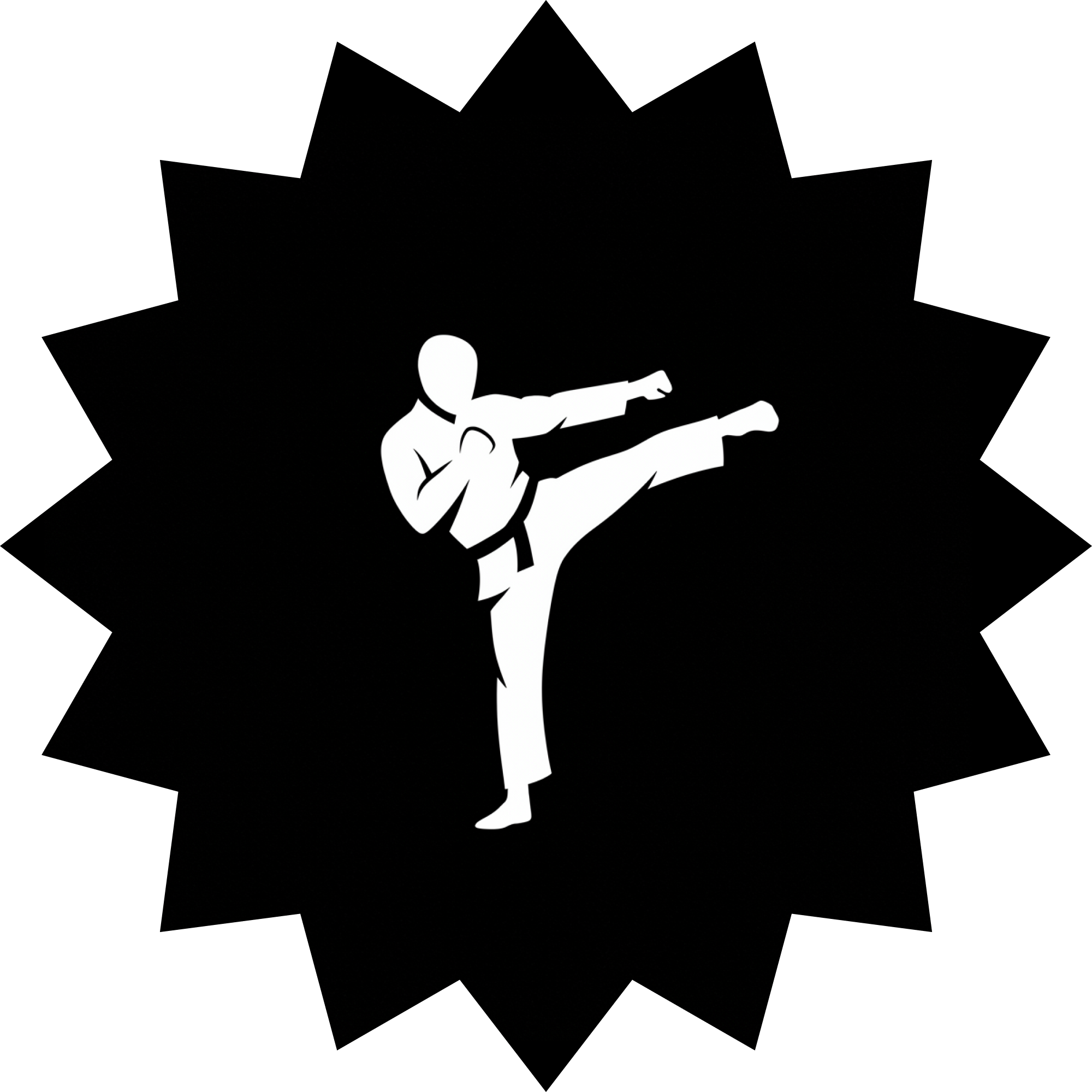 martial arts icon